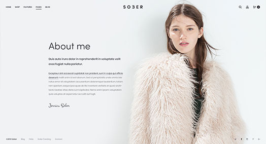 About Us v2 page