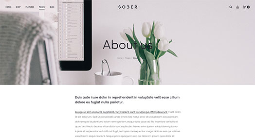 About Us page