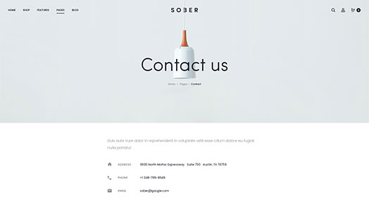 Contact Us page