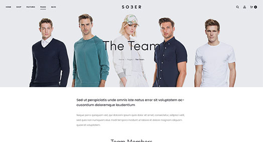 Team page